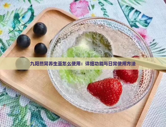九阳燕窝养生壶怎么使用：详细功能与日常使用方法
