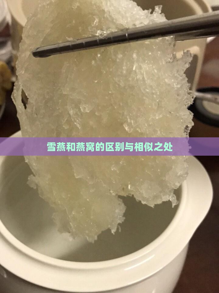 雪燕和燕窝的区别与相似之处