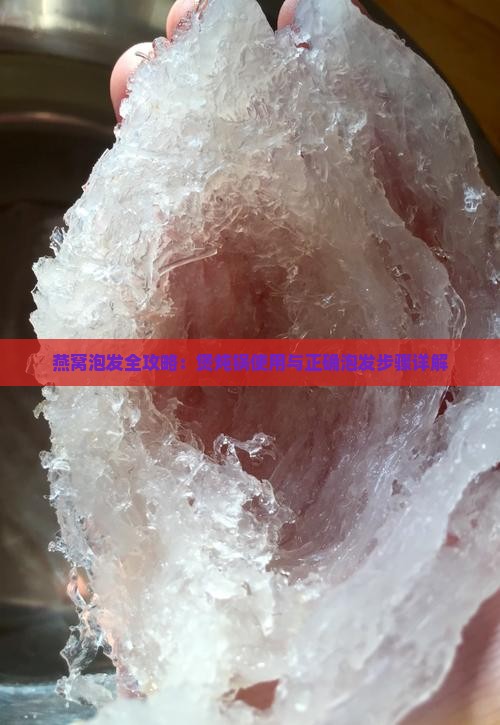 燕窝泡发全攻略：煲炖锅使用与正确泡发步骤详解
