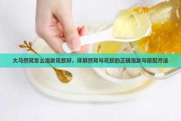 大马燕窝怎么泡发花胶好，详解燕窝与花胶的正确泡发与搭配方法
