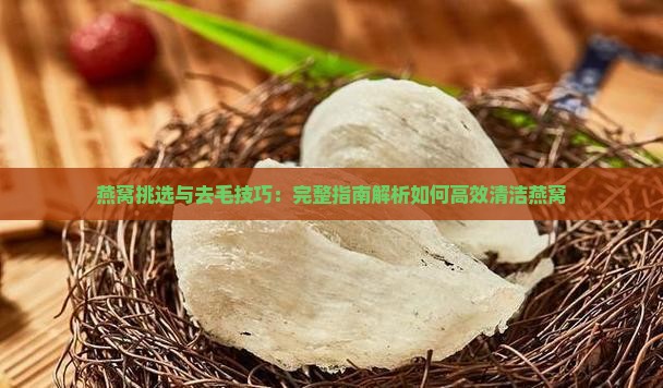 燕窝挑选与去毛技巧：完整指南解析如何高效清洁燕窝