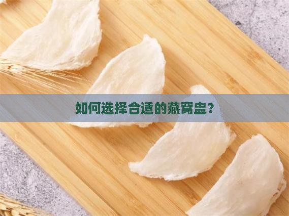 如何选择合适的燕窝盅？