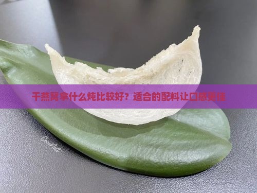 干燕窝拿什么炖比较好？适合的配料让口感更佳