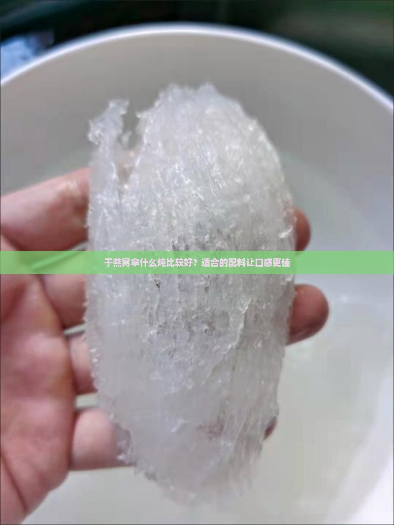 干燕窝拿什么炖比较好？适合的配料让口感更佳