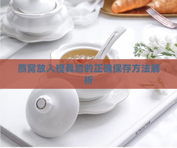 燕窝放入模具后的正确保存方法解析