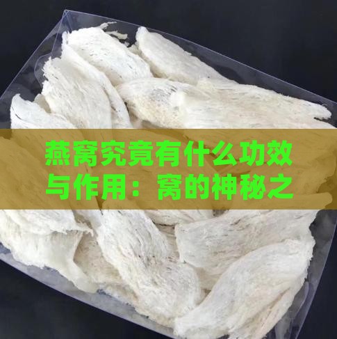 燕窝究竟有什么功效与作用：窝的神秘之处