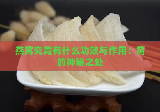 燕窝究竟有什么功效与作用：窝的神秘之处