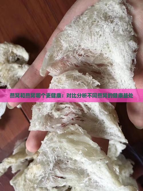 燕窝和燕窝哪个更健康：对比分析不同燕窝的健康益处