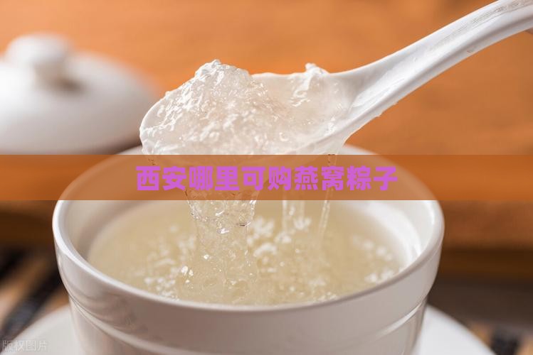 西安哪里可购燕窝粽子