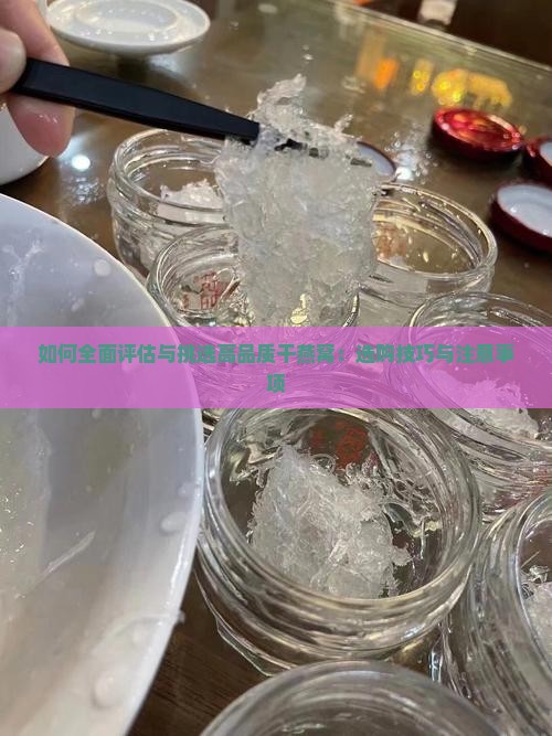 如何全面评估与挑选高品质干燕窝：选购技巧与注意事项