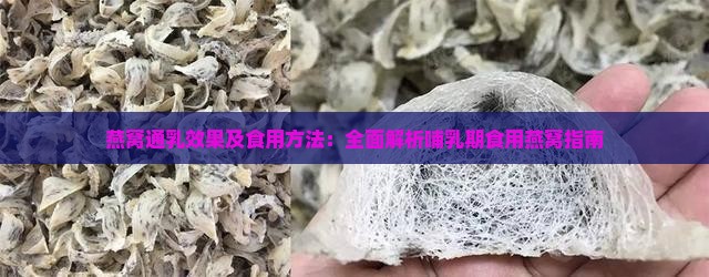 燕窝通乳效果及食用方法：全面解析哺乳期食用燕窝指南