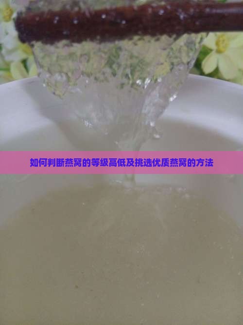 如何判断燕窝的等级高低及挑选优质燕窝的方法