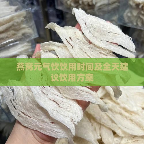 燕窝元气饮饮用时间及全天建议饮用方案