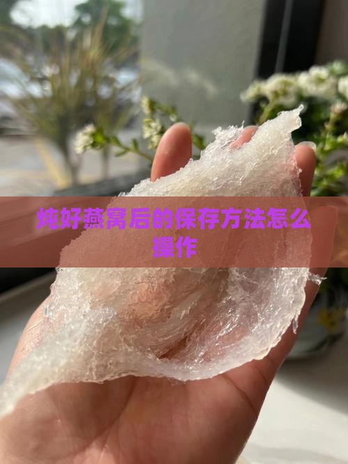 炖好燕窝后的保存方法怎么操作