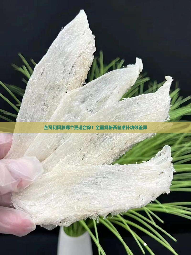 燕窝和阿胶哪个更适合你？全面解析两者滋补功效差异