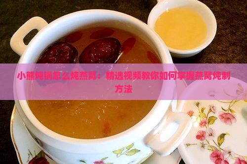 小熊炖锅怎么炖燕窝：精选视频教你如何掌握燕窝炖制方法