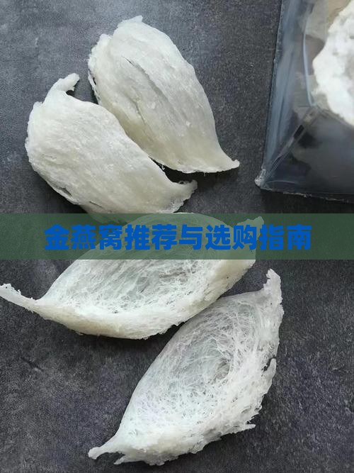 金燕窝推荐与选购指南