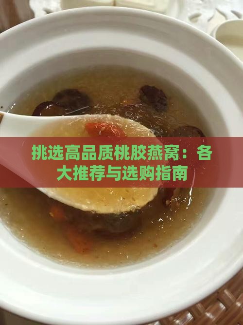 挑选高品质桃胶燕窝：各大推荐与选购指南