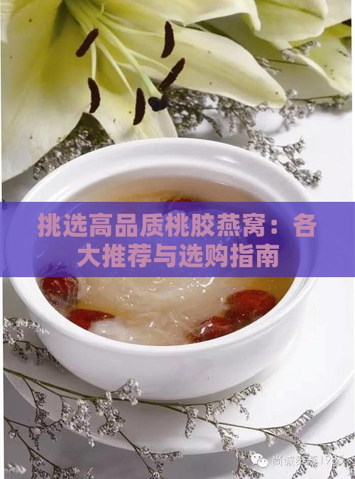 挑选高品质桃胶燕窝：各大推荐与选购指南