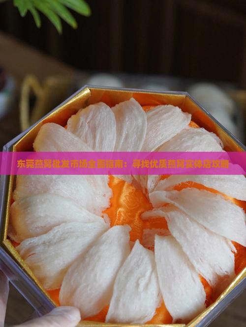 东莞燕窝批发市场全面指南：寻找优质燕窝实体店攻略