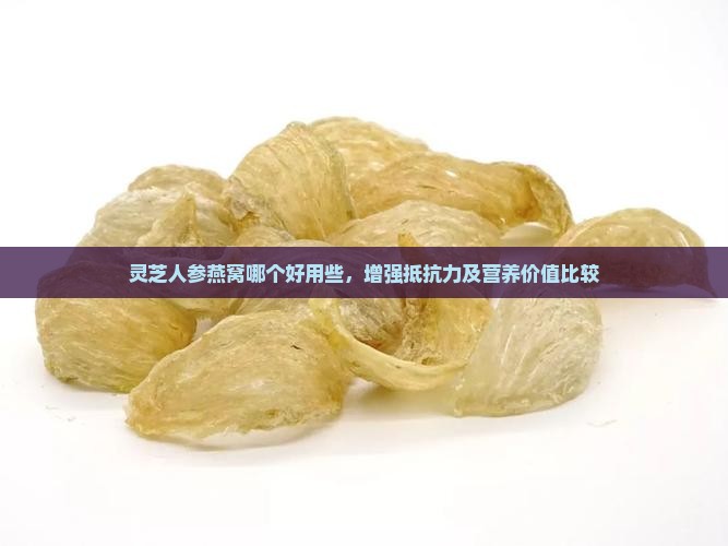灵芝人参燕窝哪个好用些，增强抵抗力及营养价值比较