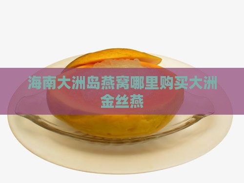 海南大洲岛燕窝哪里购买大洲金丝燕