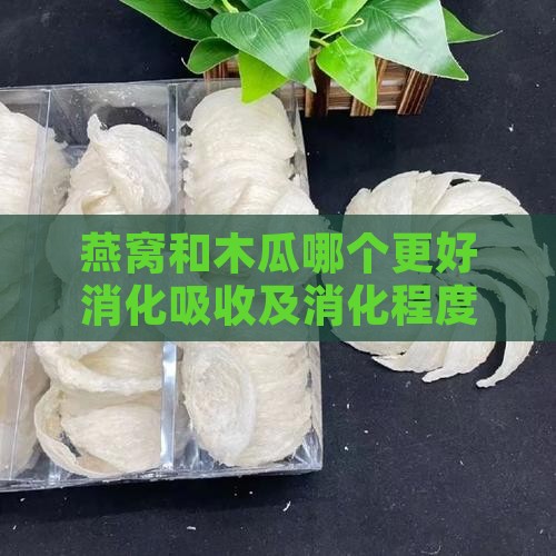 燕窝和木瓜哪个更好消化吸收及消化程度比较