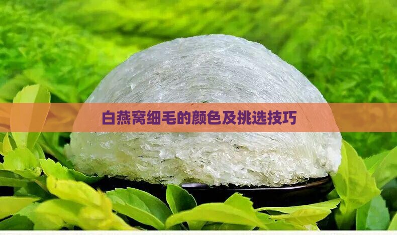 白燕窝细毛的颜色及挑选技巧