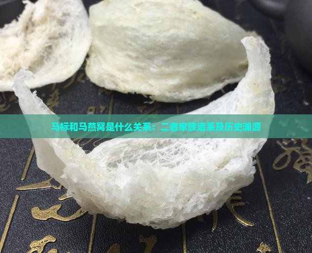 马标和马燕窝是什么关系：二者家族谱系及历史渊源