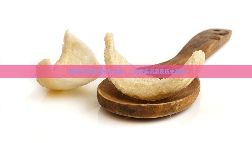 马标和马燕窝是什么关系：二者家族谱系及历史渊源