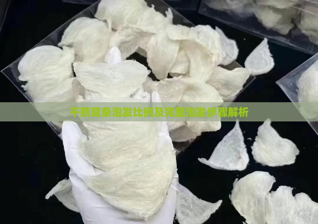 干燕窝条泡发比例及完整泡发步骤解析