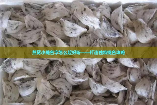 燕窝小摊名字怎么起好听——打造独特摊名攻略