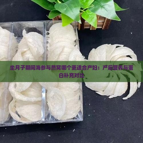 坐月子期间海参与燕窝哪个更适合产妇：产后营养与蛋白补充对比