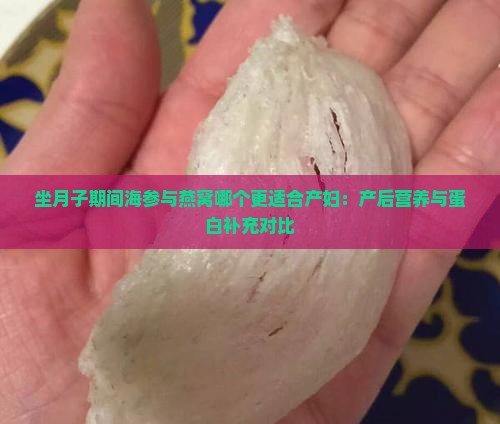 坐月子期间海参与燕窝哪个更适合产妇：产后营养与蛋白补充对比
