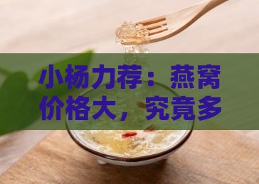 小杨力荐：燕窝价格大，究竟多少钱？