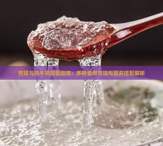 燕窝与纯牛奶搭配指南：多种食用方法与营养搭配解析
