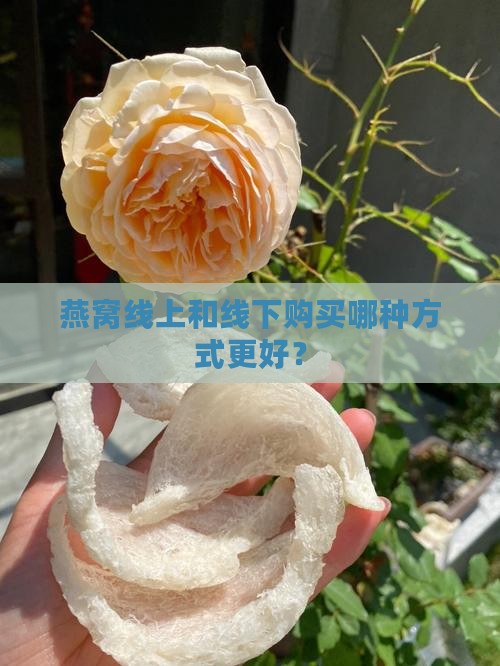 燕窝线上和线下购买哪种方式更好？