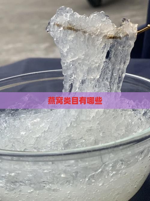 燕窝类目有哪些