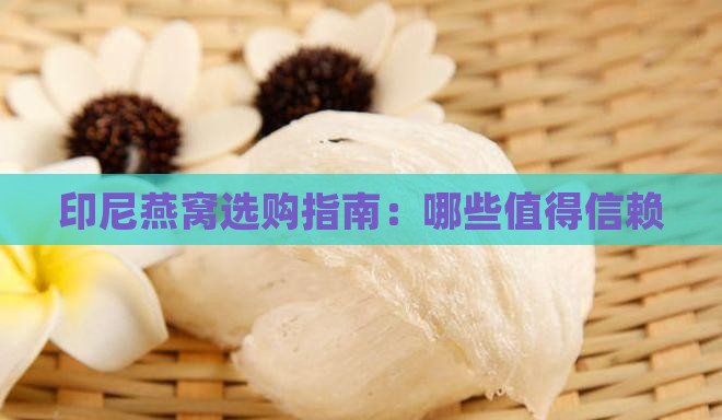 印尼燕窝选购指南：哪些值得信赖