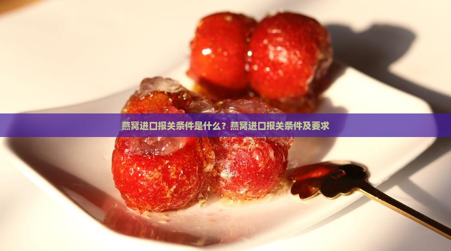 燕窝进口报关条件是什么？燕窝进口报关条件及要求
