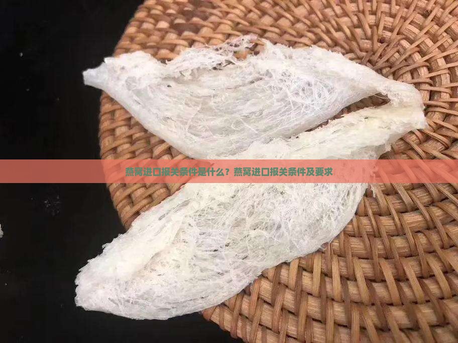 燕窝进口报关条件是什么？燕窝进口报关条件及要求
