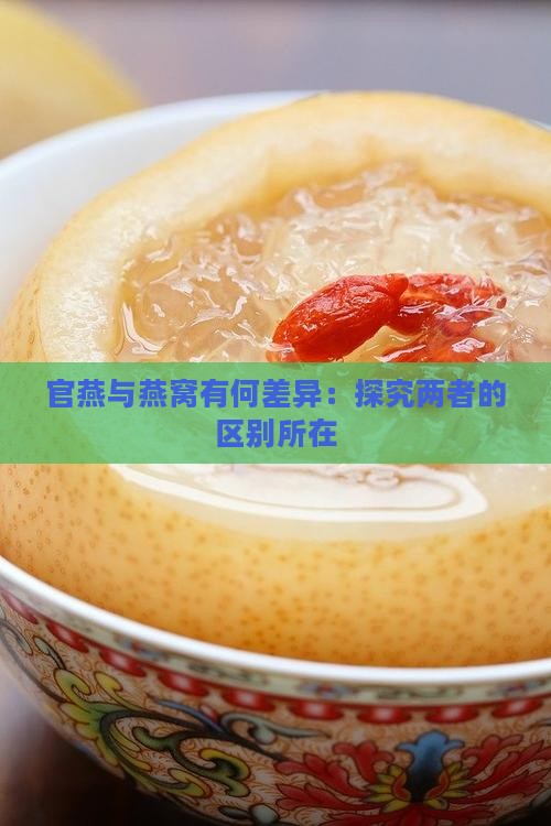 官燕与燕窝有何差异：探究两者的区别所在