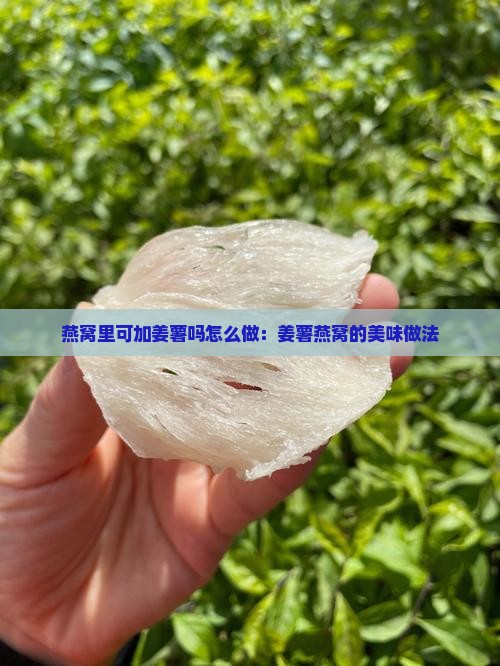 燕窝里可加姜薯吗怎么做：姜薯燕窝的美味做法
