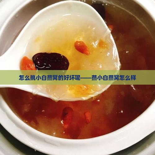 怎么挑小白燕窝的好坏呢——燕小白燕窝怎么样