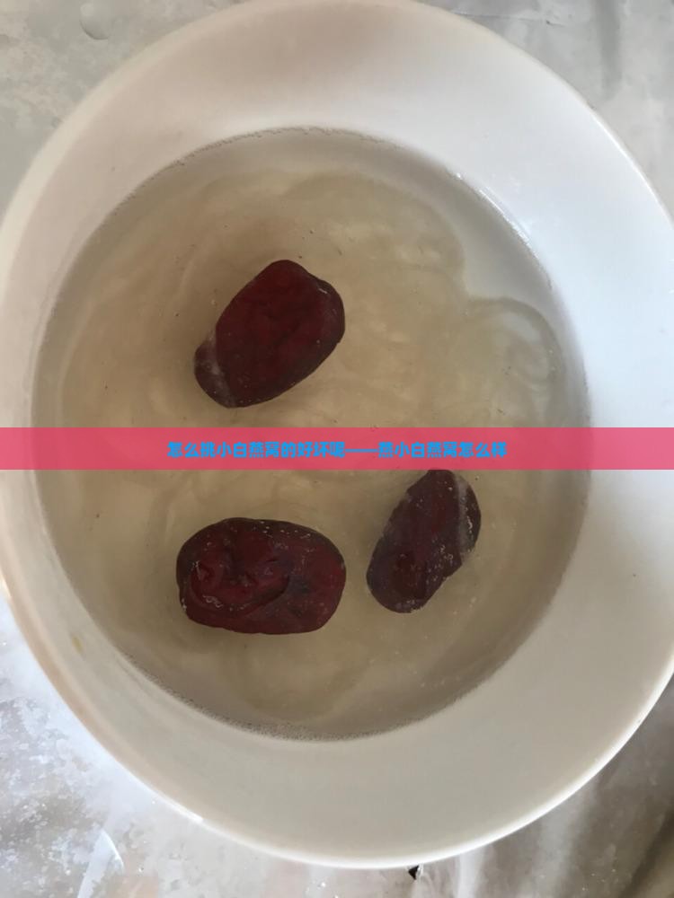 怎么挑小白燕窝的好坏呢——燕小白燕窝怎么样