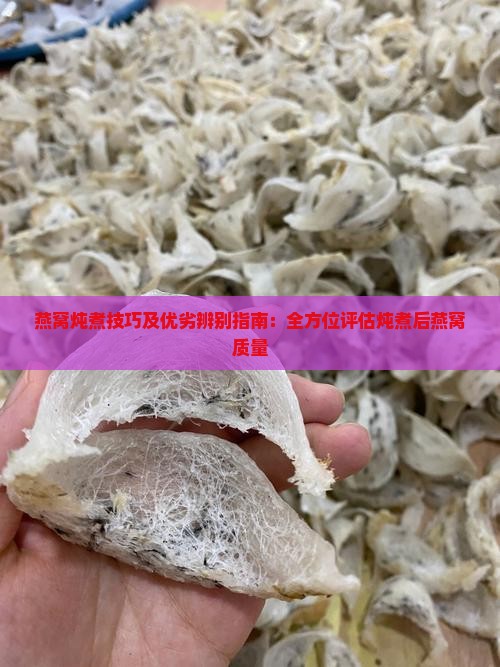 燕窝炖煮技巧及优劣辨别指南：全方位评估炖煮后燕窝质量