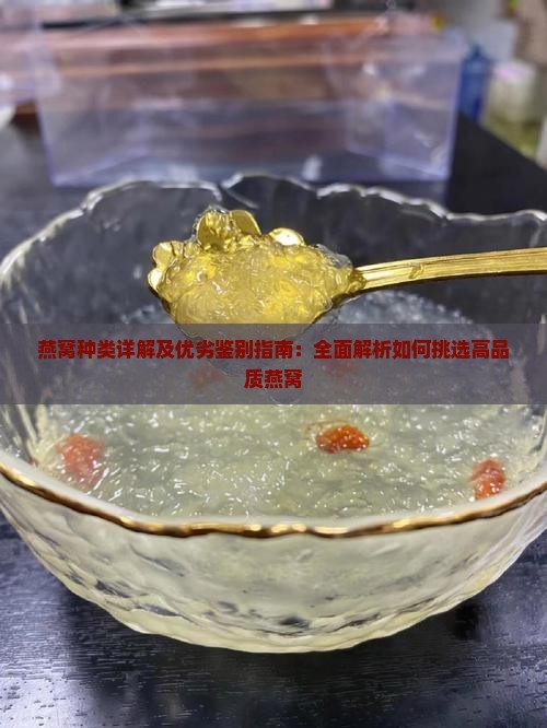 燕窝种类详解及优劣鉴别指南：全面解析如何挑选高品质燕窝