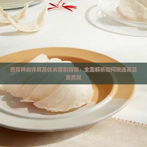 燕窝种类详解及优劣鉴别指南：全面解析如何挑选高品质燕窝