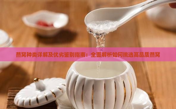 燕窝种类详解及优劣鉴别指南：全面解析如何挑选高品质燕窝