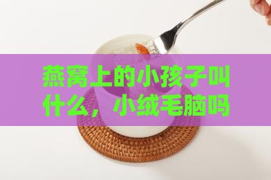 燕窝上的小孩子叫什么，小绒毛脑吗？
